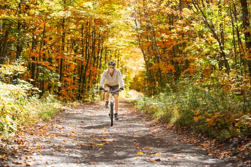 Four Seasons, One River: How to Read the Trail Year-Round
