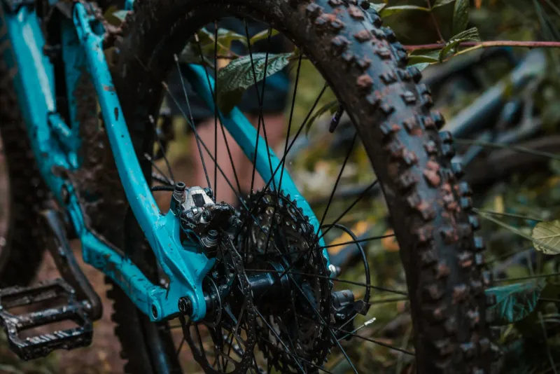 Mud, Water, and Miles: Setting Up Your Bike for Riverside Trail Riding